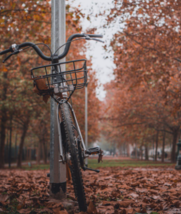 Málaga celebrará el XIX Día de la Bici el próximo 24 de mayoLa prueba deportiva gratuita contará con dos recorridos diferentes y premiará los disfraces más originales
