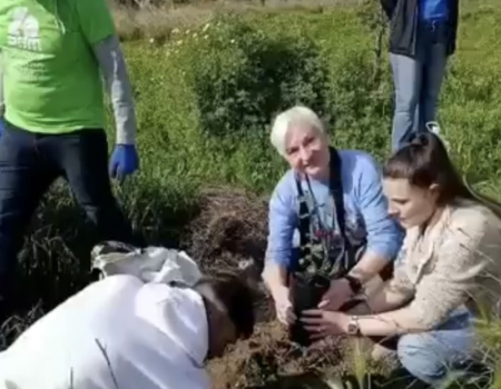 Familias se enfrentan a Geslaufamilias en vigor denuncian a la empresa porque pretenden expulsarlas sin alternativa habitacional
