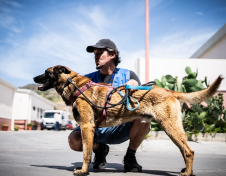 El Ayuntamiento potencia las mejoras CEPAM Málaga con nuevas instalaciones y serviciosUna inversión histórica garantiza el bienestar animal en el recinto municipal tras las reformas